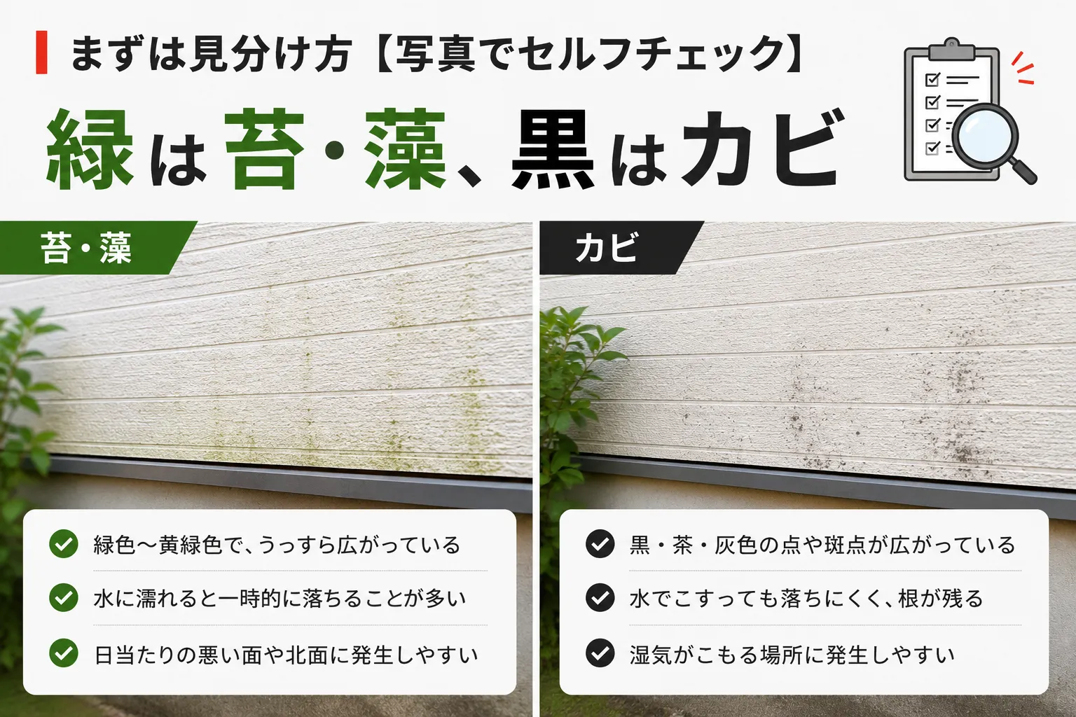 外壁の苔・藻とカビの違いを写真で比較したセルフチェック画像