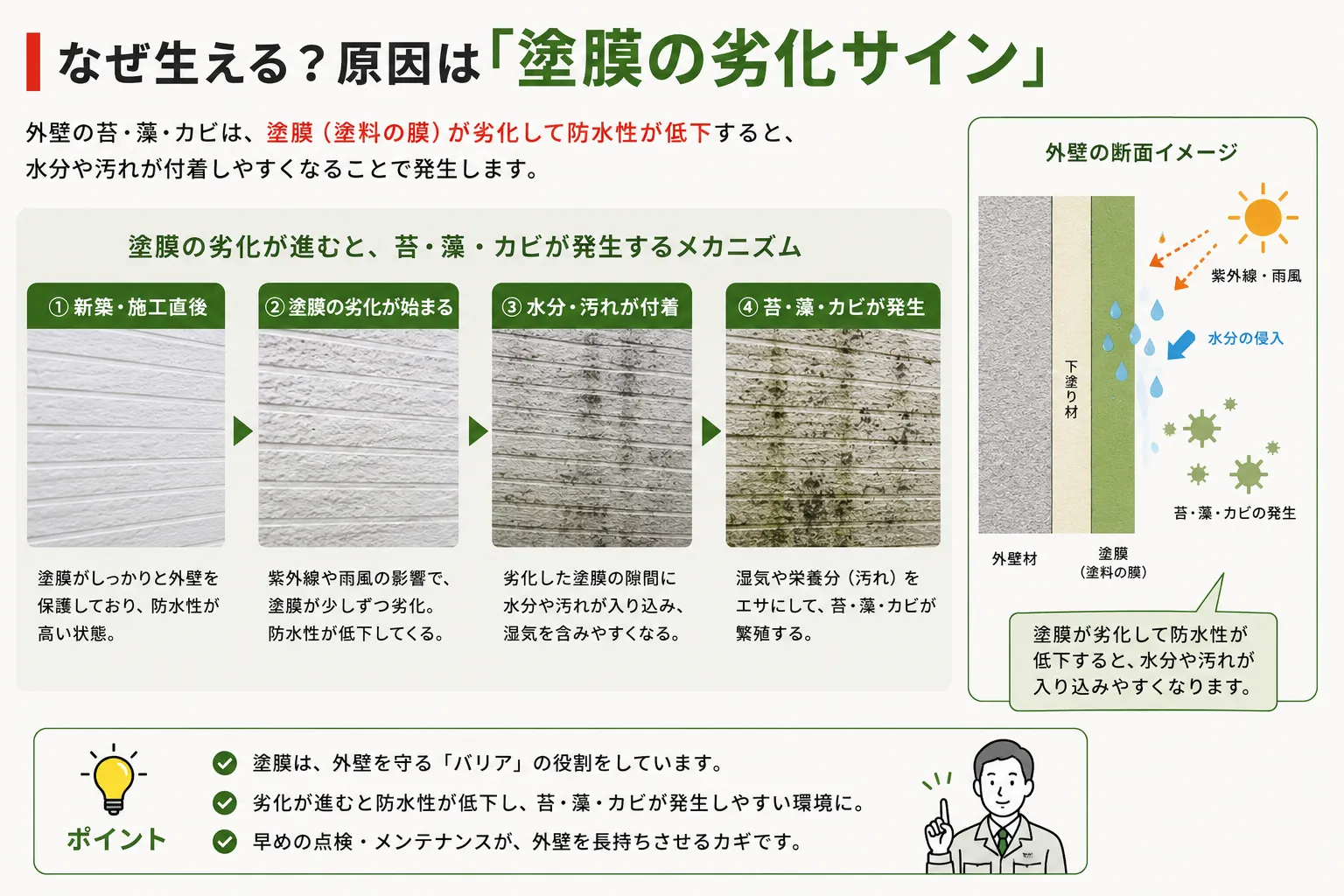 外壁に苔・藻・カビが発生する原因である塗膜の劣化を解説したイメージ図