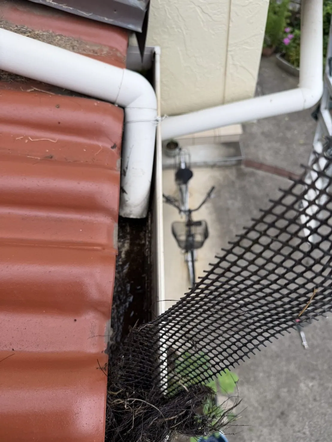 落ち葉よけネットを外した雨樋と、絡みついた枯れ草